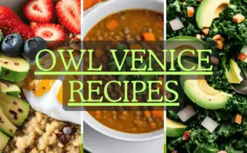 Owl Venice Recipes